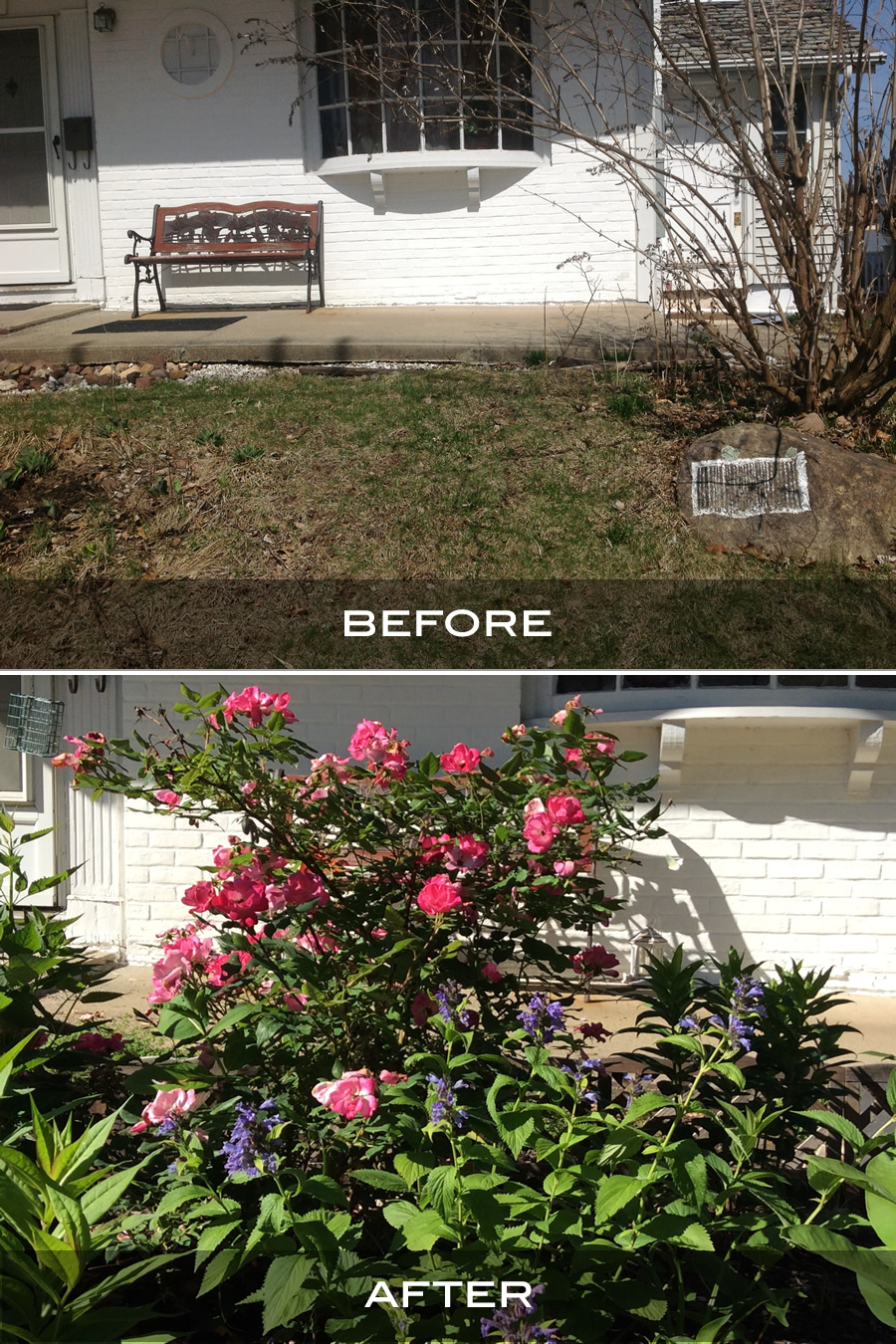 Lose the Lawn - Before / After 2