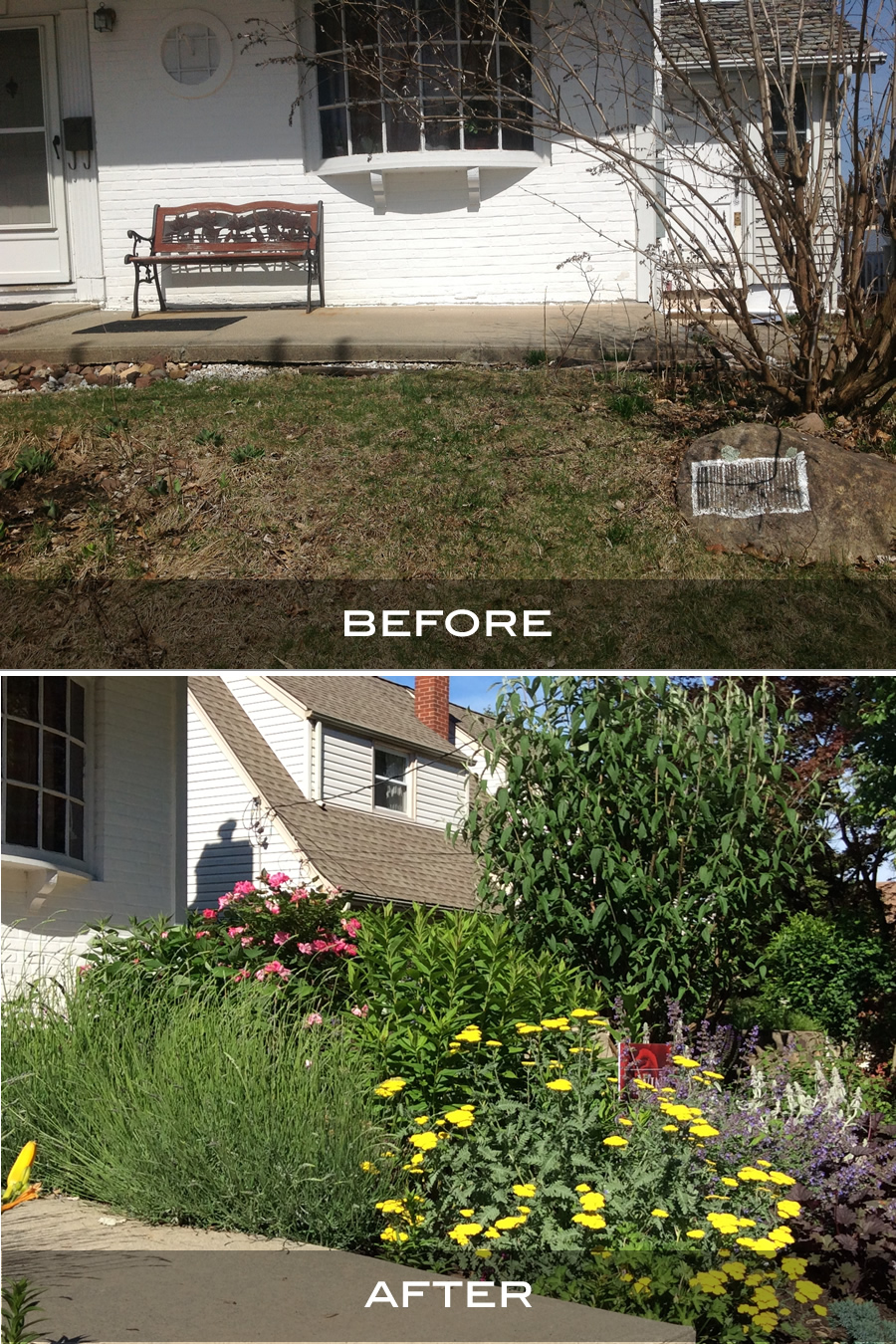 Lose the Lawn - Before / After 3